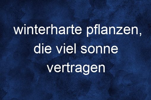 Winterharte Pflanzen, Die Viel Sonne Vertragen Und Wenig Wasser Brauchen