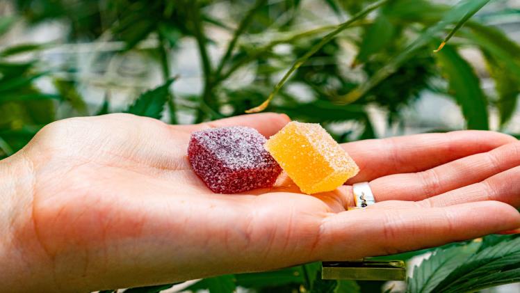 A Beginner's Guide to Trying Delta 8 Thc Edibles