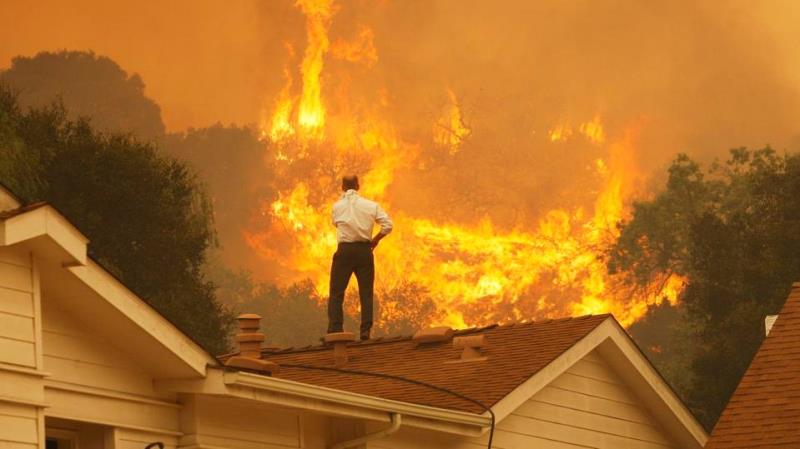 How to Find the Best Wildfire Attorney for Your Case Complete Guide 2023